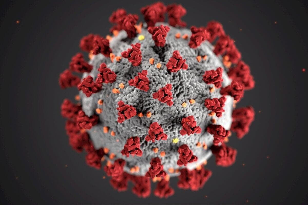 Self-organising criticality: how SOC characterises epidemics and polymer networks